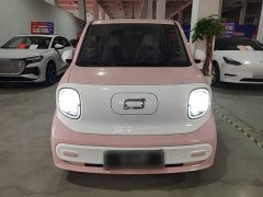 FAW Besturn Xiaoma 170km Vitality Edition - ფოტო 2