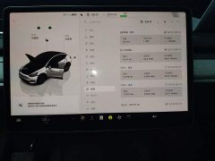 Tesla Model Y 2023 Long Range All-Wheel Drive - ფოტო 11