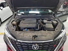 Changan Eado Enjoy Plus Blue Whale NE 1.4T GDI DCT Luxury Edition - ფოტო 19