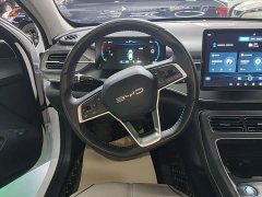 BYD Destroyer 05 Glory Edition DM-i 55KM Luxury - ფოტო 10