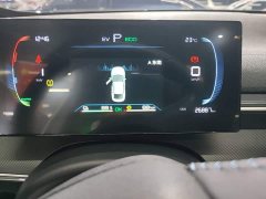 BYD Destroyer 05 Glory Edition DM-i 55KM Luxury - ფოტო 11
