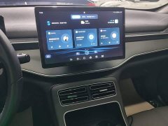 BYD Destroyer 05 Glory Edition DM-i 55KM Luxury - ფოტო 12