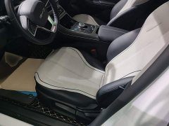 BYD Destroyer 05 Glory Edition DM-i 55KM Luxury - ფოტო 14