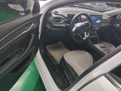 BYD Destroyer 05 Glory Edition DM-i 55KM Luxury - ფოტო 15