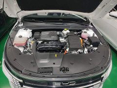 BYD Destroyer 05 Glory Edition DM-i 55KM Luxury - ფოტო 19