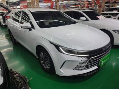 BYD Destroyer 05 Glory Edition DM-i 55KM Luxury - ფოტო 3