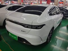 BYD Destroyer 05 Glory Edition DM-i 55KM Luxury - ფოტო 6