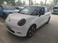 Yttrium Yiwei 3 505km Champion Edition - photo 1