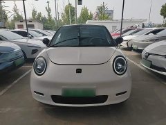 Yttrium Yiwei 3 505km Champion Edition - photo 2