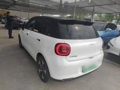 Yttrium Yiwei 3 505km Champion Edition - photo 4