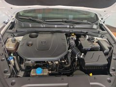 Changan Eado PLUS Blue Whale NE 1.4T GDI DCT Luxury - ფოტო 19