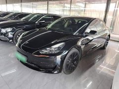 Tesla Model 3 Standard Range RWD Upgrade 3D6 - ფოტო 1