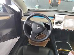 Tesla Model 3 Standard Range RWD Upgrade 3D6 - ფოტო 10