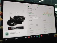 Tesla Model 3 Standard Range RWD Upgrade 3D6 - ფოტო 11