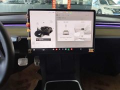 Tesla Model 3 Standard Range RWD Upgrade 3D6 - ფოტო 12