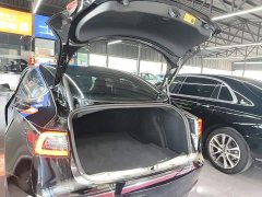 Tesla Model 3 Standard Range RWD Upgrade 3D6 - ფოტო 18