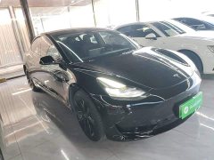 Tesla Model 3 Standard Range RWD Upgrade 3D6 - ფოტო 3