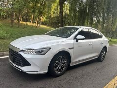 BYD Qin Plus 2021 DM-i 55KM Flagship - ფოტო 1