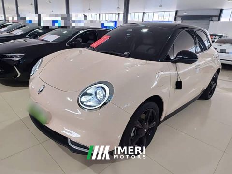 2024 ORA Good Cat 401km Luxury - ავტომობილი ჩინეთიდან