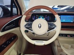 ORA Good Cat 401km Luxury - ფოტო 10