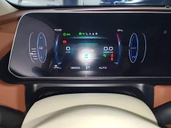 ORA Good Cat 401km Luxury - ფოტო 11