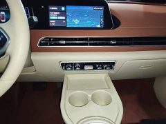 ORA Good Cat 401km Luxury - ფოტო 12