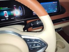 ORA Good Cat 401km Luxury - ფოტო 13