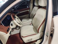 ORA Good Cat 401km Luxury - ფოტო 14