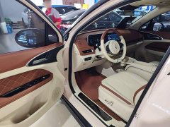 ORA Good Cat 401km Luxury - ფოტო 15