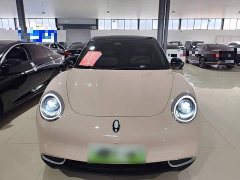 ORA Good Cat 401km Luxury - ფოტო 2