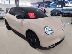 ORA Good Cat 401km Luxury - ფოტო 3