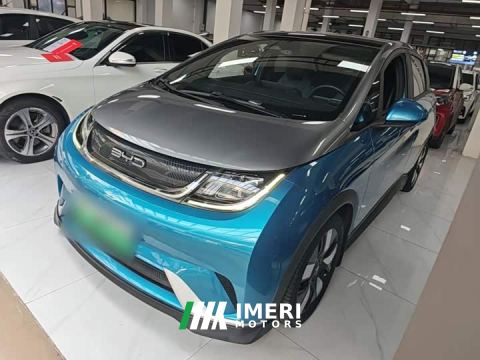 2022 BYD Dolphin 401km Knight Edition