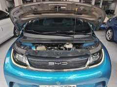 BYD Dolphin 401km Knight Edition - ფოტო 19