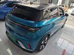 BYD Dolphin 401km Knight Edition - ფოტო 6