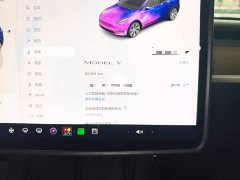 Tesla Model Y Rear-Wheel Drive - ფოტო 11
