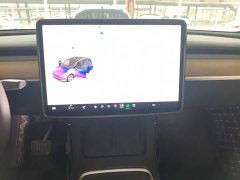 Tesla Model Y Rear-Wheel Drive - ფოტო 12