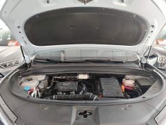 BYD Song L DM-i 160km Exceed - ფოტო 19