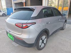 Geely Star Wish 410km Freedom Edition - ფოტო 6