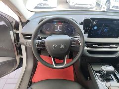 FAW Hongqi E-QM5 610km PLUS - ფოტო 10