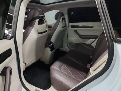 Leapmotor Leapo C11 Extended Range 300 Deluxe Edition - ფოტო 16