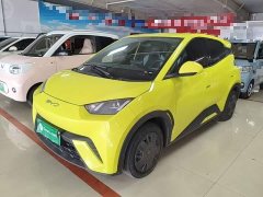 BYD Seagull 2023 Vitality Edition - ფოტო 1