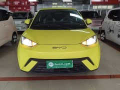 BYD Seagull 2023 Vitality Edition - ფოტო 2