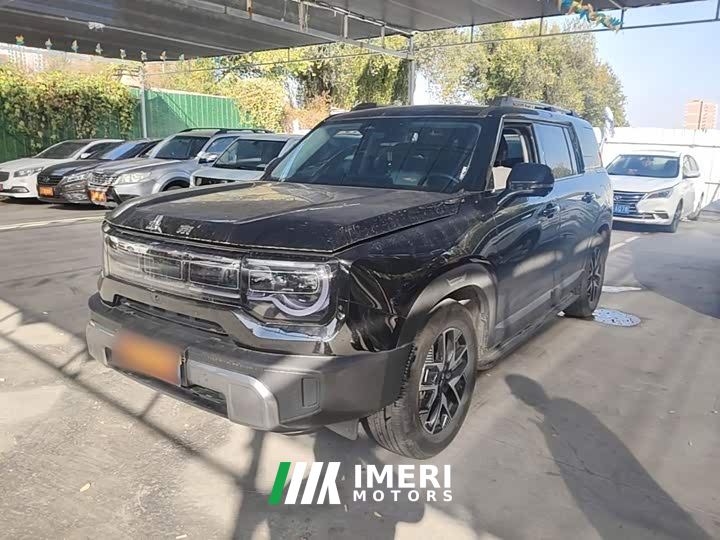 Beijing Jeep BJ30 1.5T Light Wilderness Pro Edition