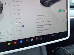 Tesla Model Y Rear-Wheel Drive - ფოტო 11