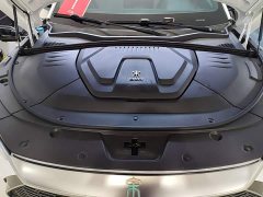 BYD Song Plus New Energy 2021 DM-i 51KM Premium Edition - ფოტო 19