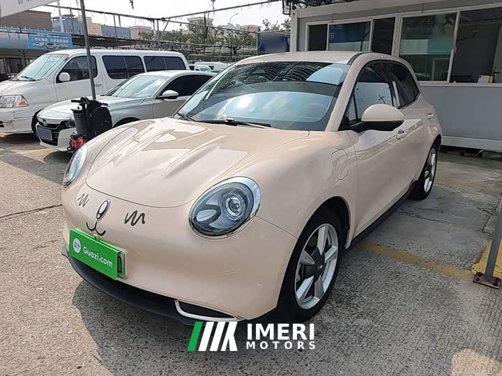 ORA Good Cat 401km Standard Range Luxury LFP - ავტომობილი ჩინეთიდან