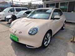 ORA Good Cat 401km Standard Range Luxury LFP - ფოტო 1