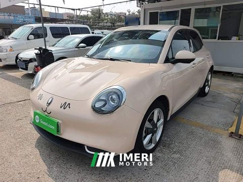2023 ORA Good Cat 401km Standard Range Luxury LFP - ავტომობილი ჩინეთიდან