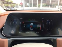 ORA Good Cat 401km Standard Range Luxury LFP - ფოტო 11