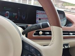ORA Good Cat 401km Standard Range Luxury LFP - ფოტო 13